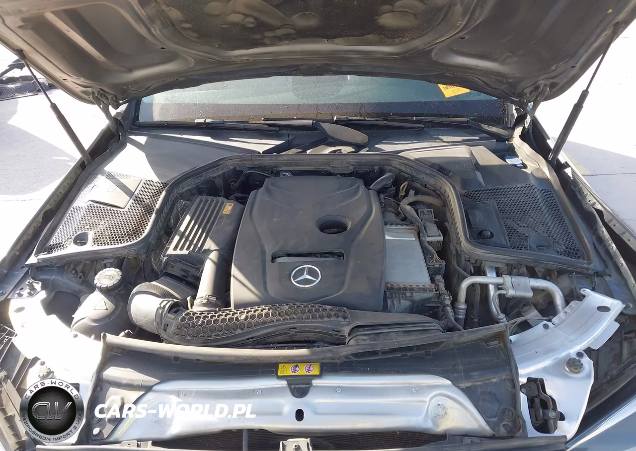 2018 Mercedes-Benz C 300 VIN:55SWF4JB1JU239347 - 10