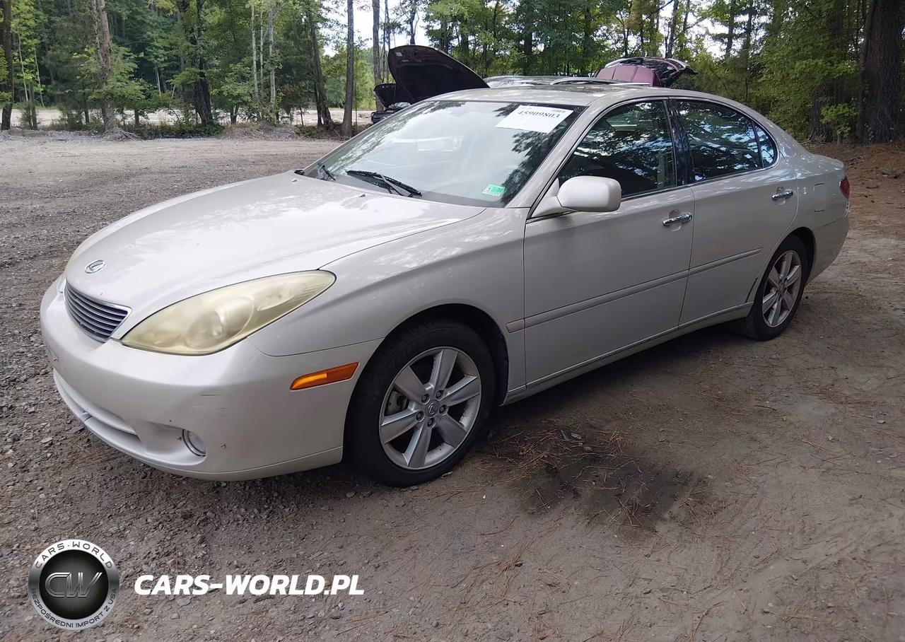 2005 Lexus Es 330 VIN:JTHBA30G255056017 - 2
