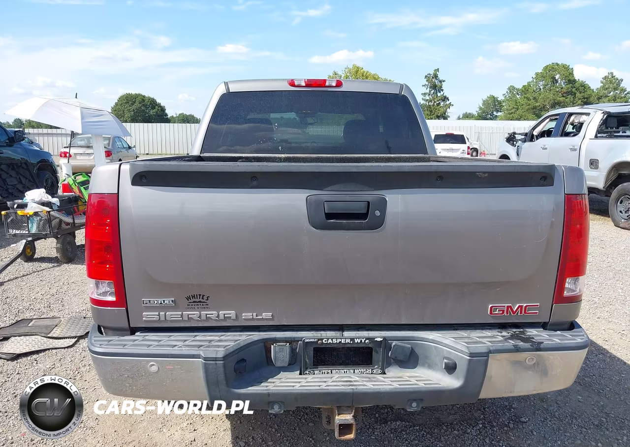 2009 GMC Sierra 1500 Sle VIN:3GTEK23359G205730 - 17