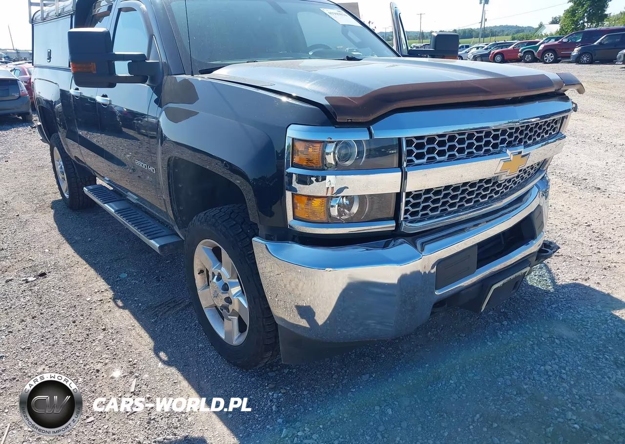 2019 Chevrolet Silverado 2500Hd Wt VIN:2GC2KREG0K1159685 - 18