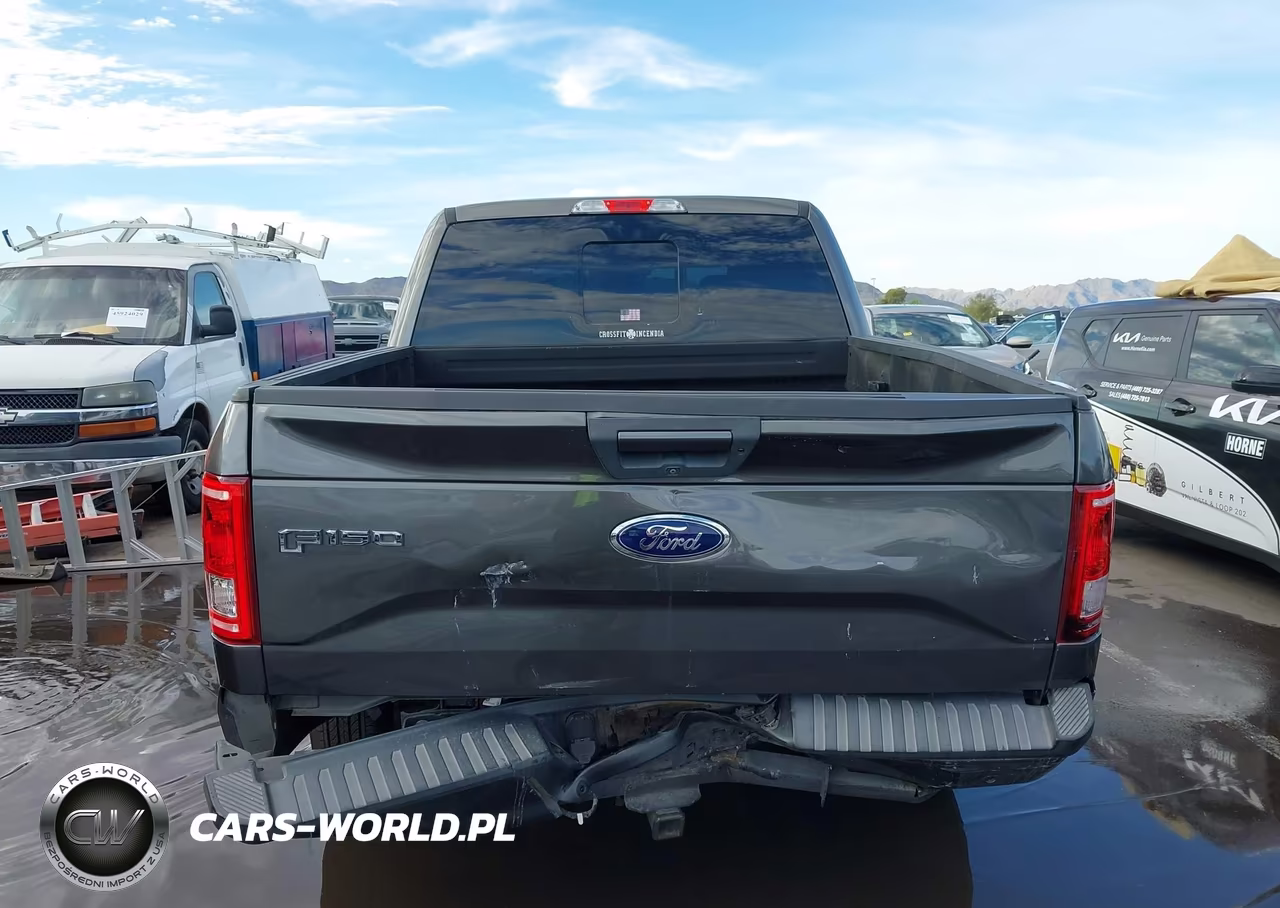 2016 Ford F-150 Xlt VIN:1FTEW1EG7GKG01517 - 16