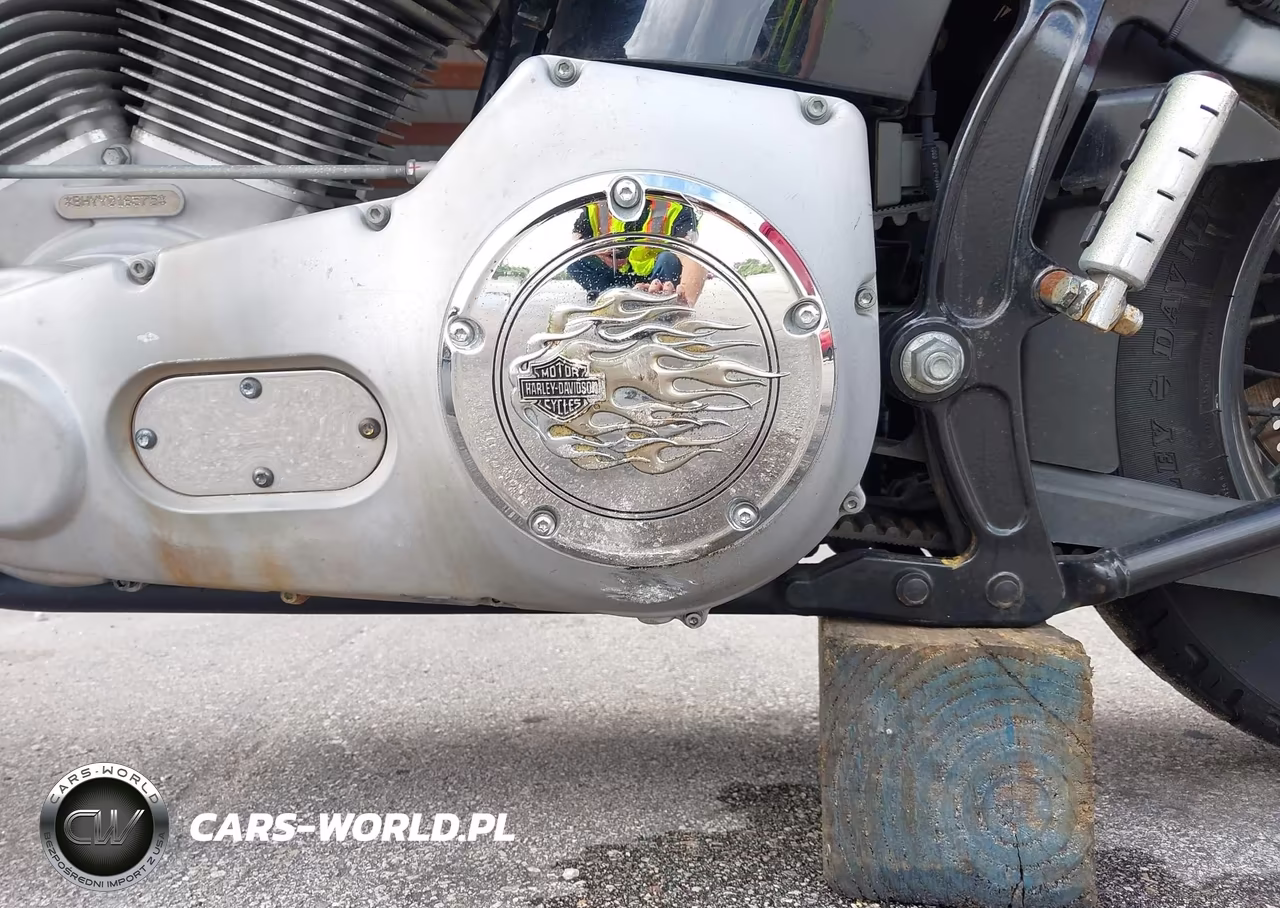 2000 Harley-Davidson Fxst VIN:1HD1BHY10YY016575 - 14