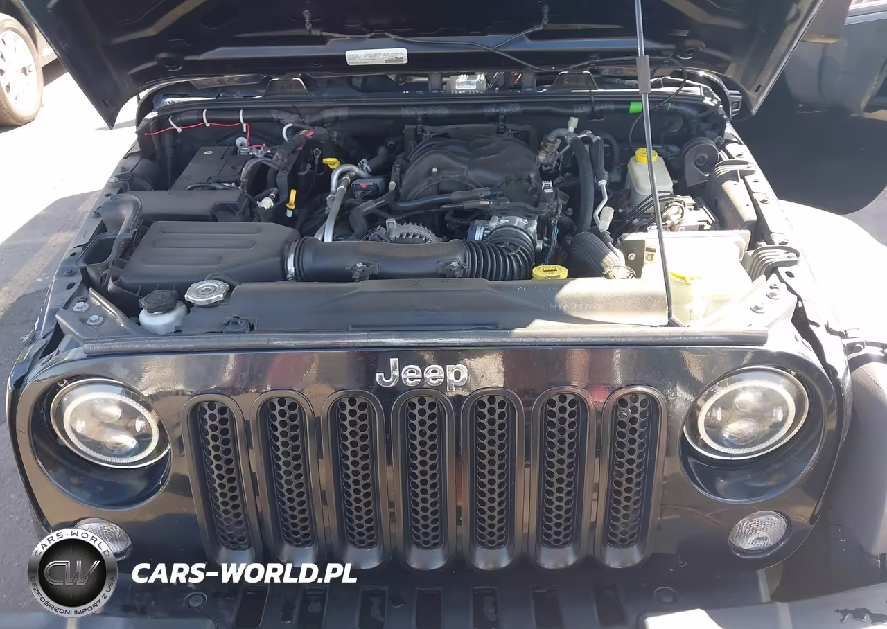 2016 Jeep Wrangler Unlimited Sport VIN:1C4BJWDG0GL327555 - 10