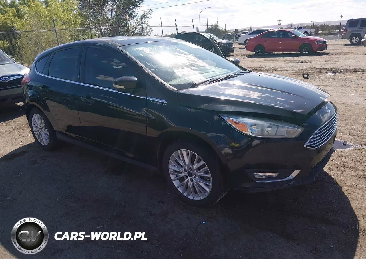 2016 Ford Focus Titanium VIN:1FADP3N22GL394964 - 1