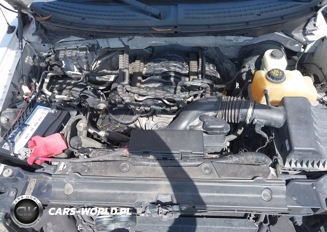 2013 Ford F-150 Xl VIN:1FTFX1CF2DKG19267 - 10