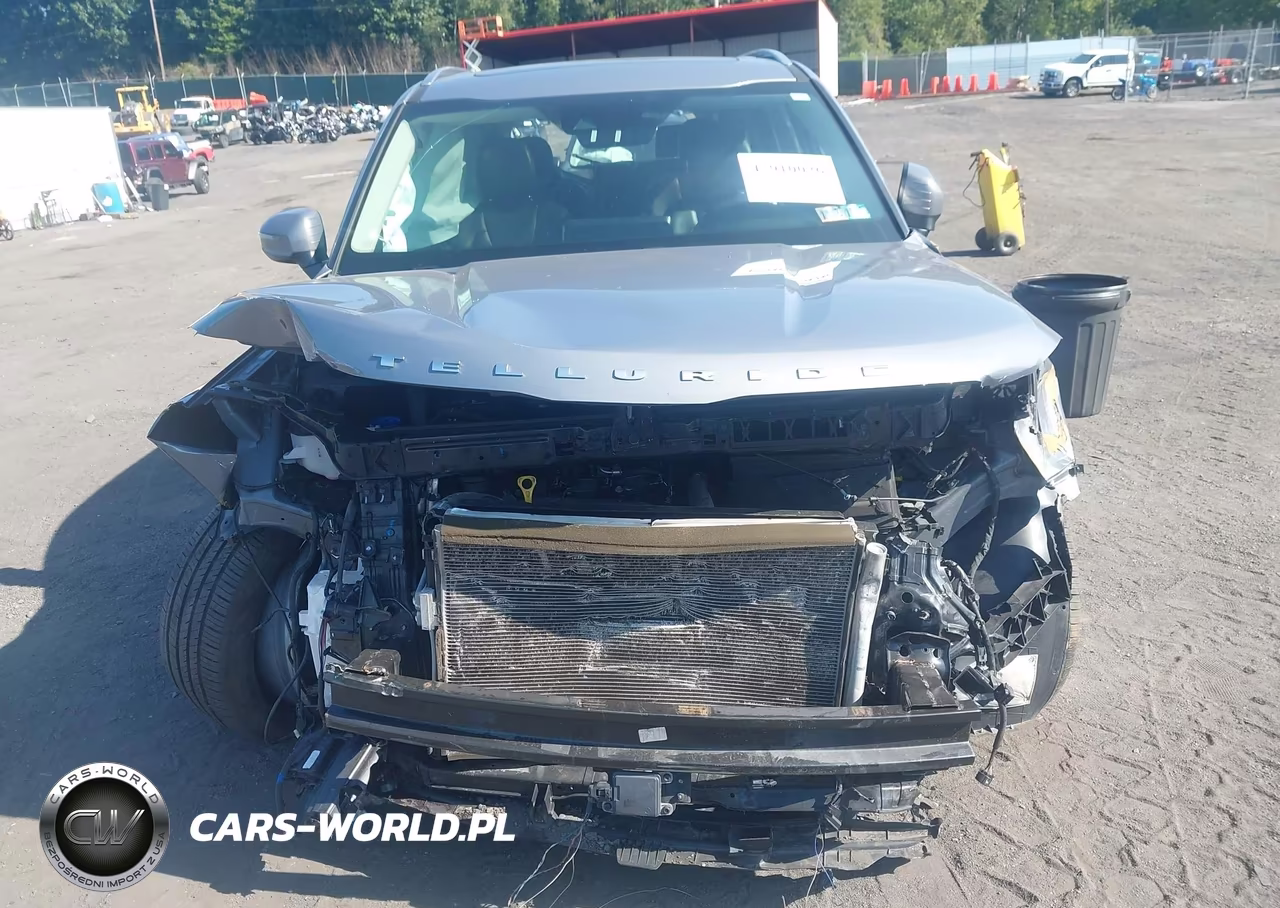 2022 Kia Telluride S VIN:5XYP6DHC6NG264487 - 11