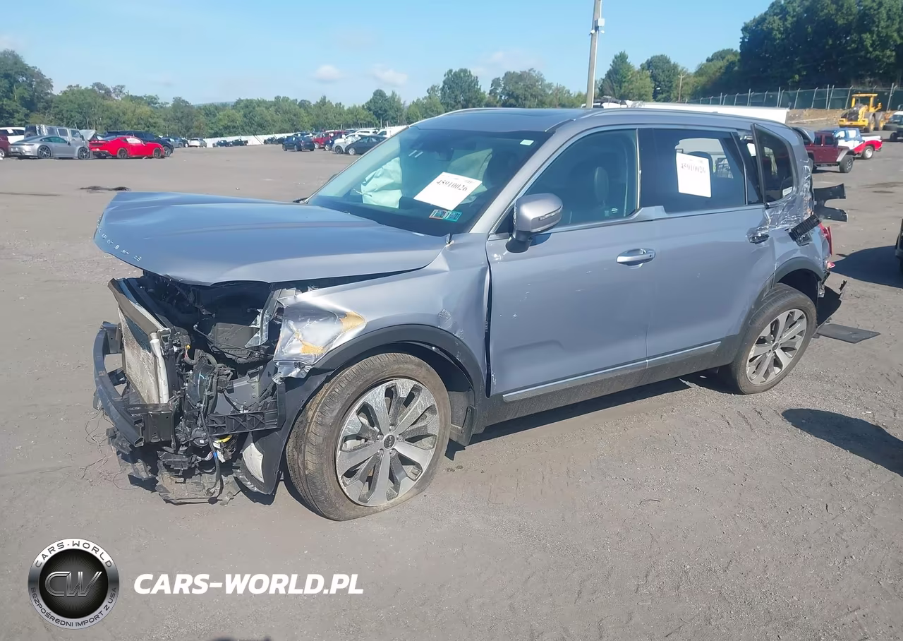 2022 Kia Telluride S VIN:5XYP6DHC6NG264487 - 2