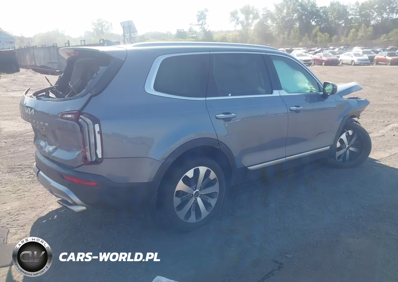 2022 Kia Telluride S VIN:5XYP6DHC6NG264487 - 4