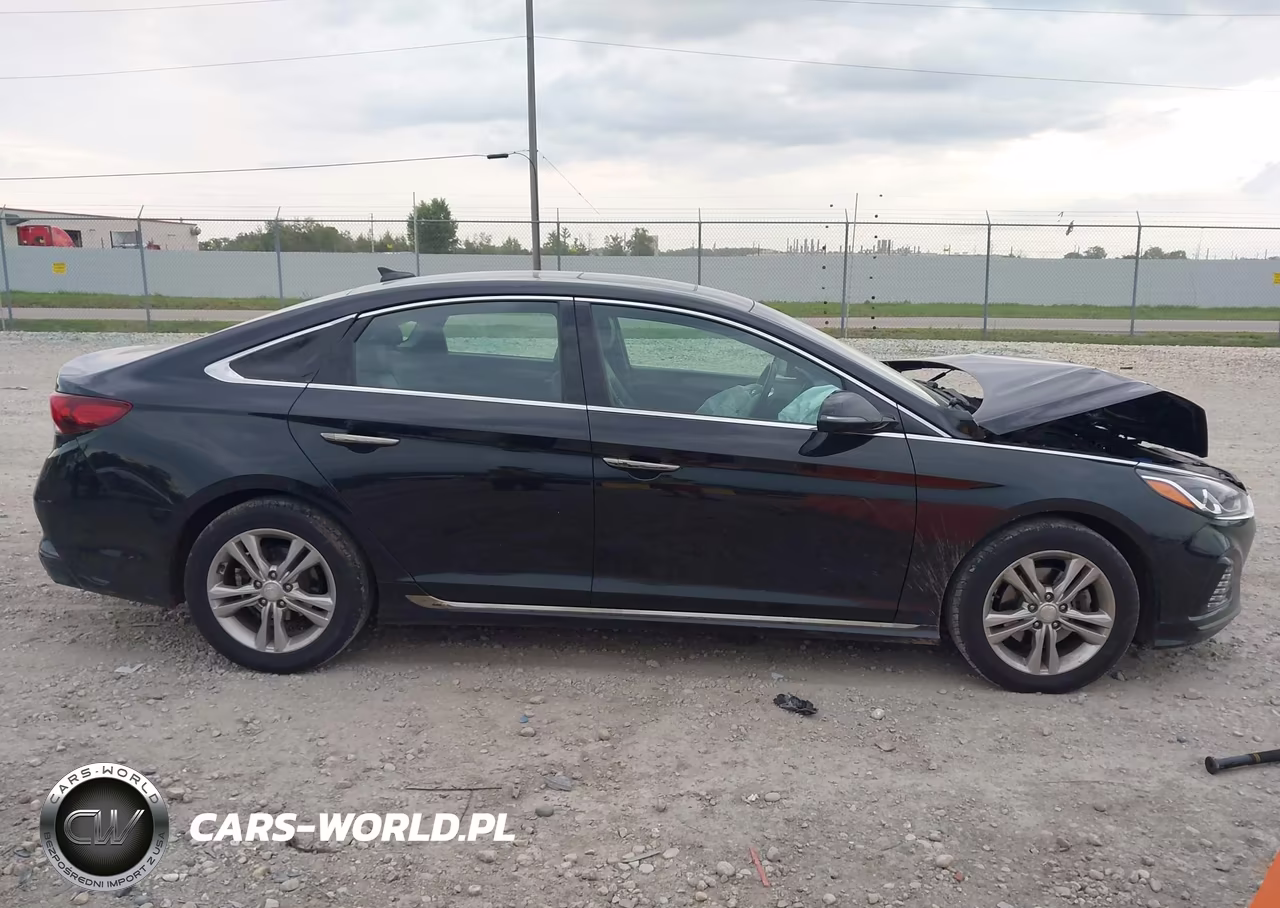 2018 Hyundai Sonata Sport VIN:5NPE34AF8JH664171 - 13