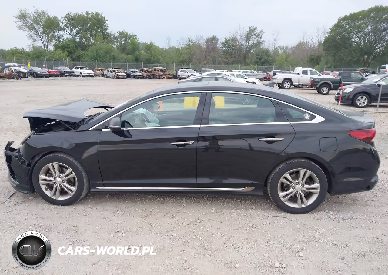 2018 Hyundai Sonata Sport VIN:5NPE34AF8JH664171 - 14