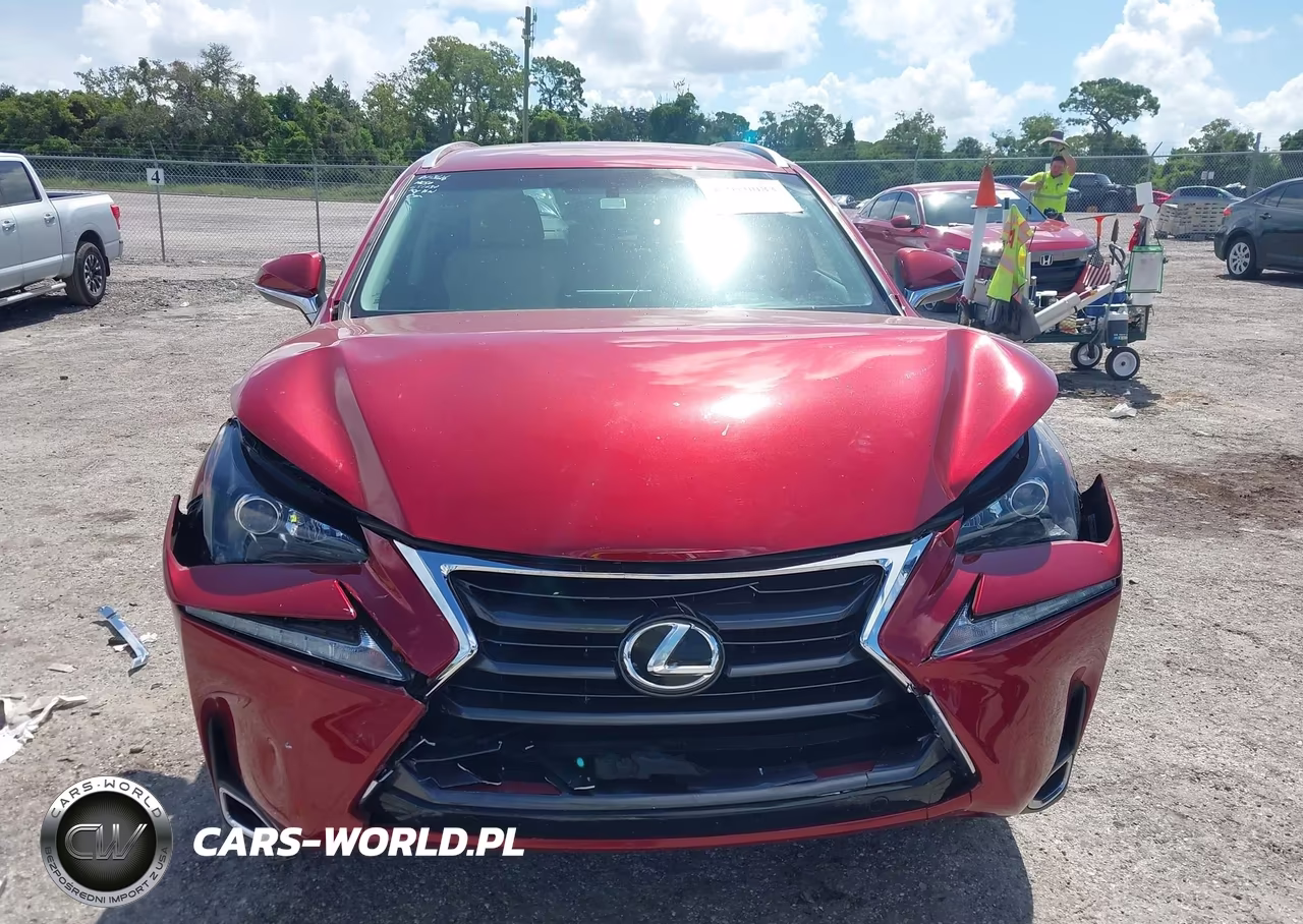 2015 Lexus Nx 200T VIN:JTJYARBZ7F2001625 - 12