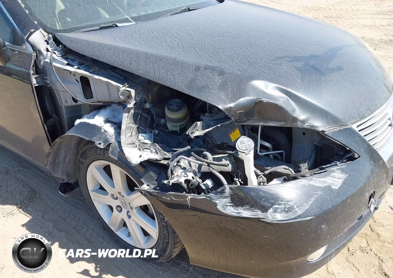 2008 Lexus Es 350 VIN:JTHBJ46G082203163 - 6