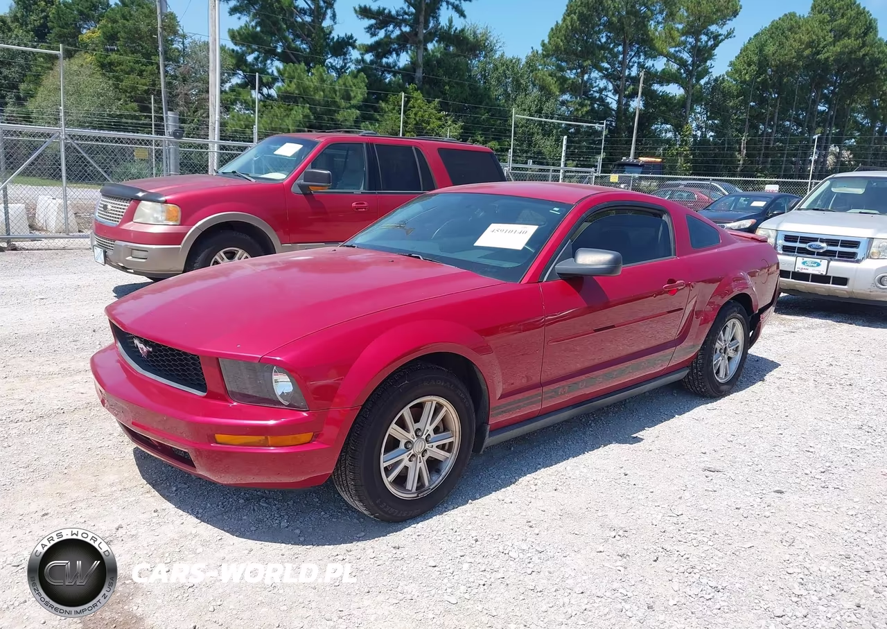 2008 Ford Mustang V6 Deluxe-V6 Premium VIN:1ZVHT80N985200746 - 2