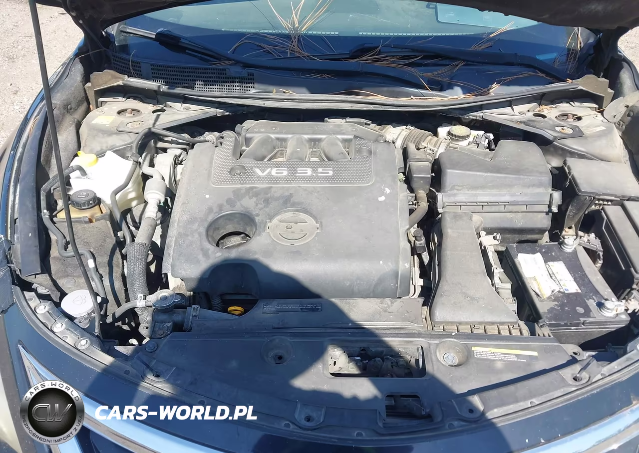 2013 Nissan Altima 3.5 Sv VIN:1N4BL3AP6DN451946 - 10