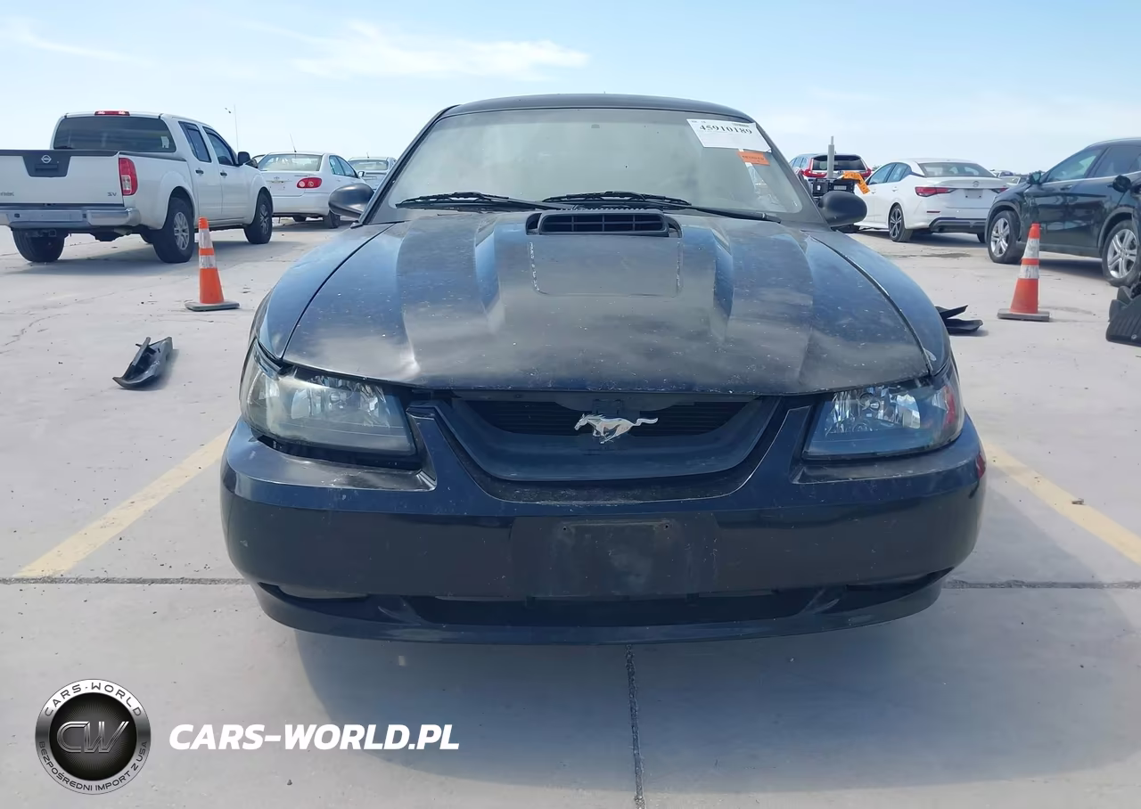 2003 Ford Mustang Mach 1 VIN:1FAFP42R93F429850 - 13