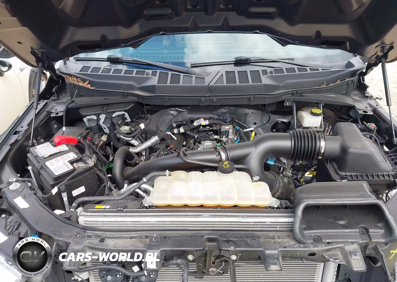 2022 Ford F-150 Xl VIN:1FTEW1EP4NFC01940 - 10