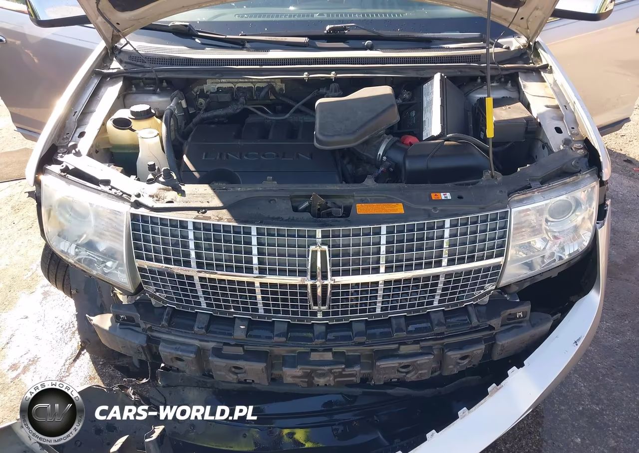 2010 Lincoln Mkx VIN:2LMDJ8JC8ABJ19548 - 10