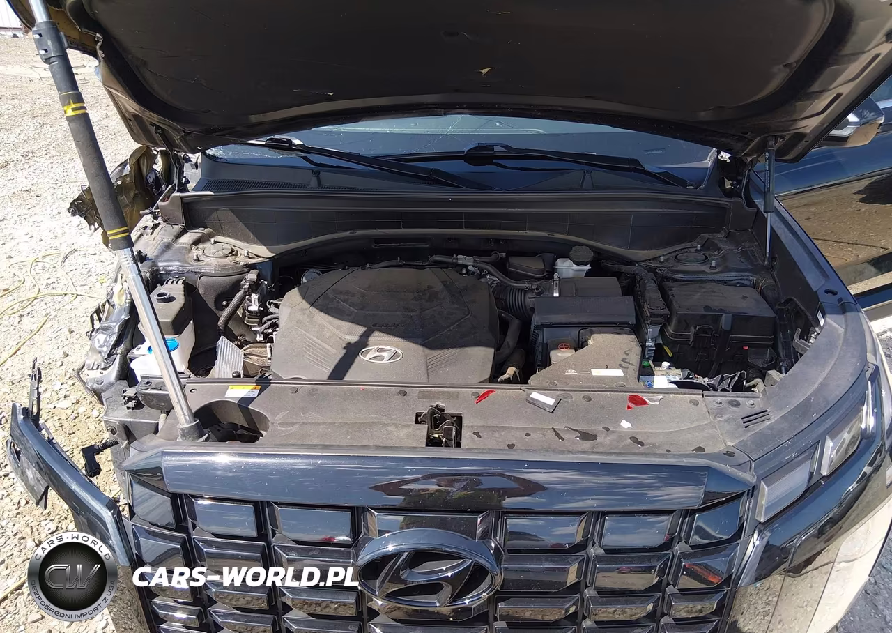 2023 Hyundai Palisade Xrt VIN:KM8R34GE1PU551639 - 10