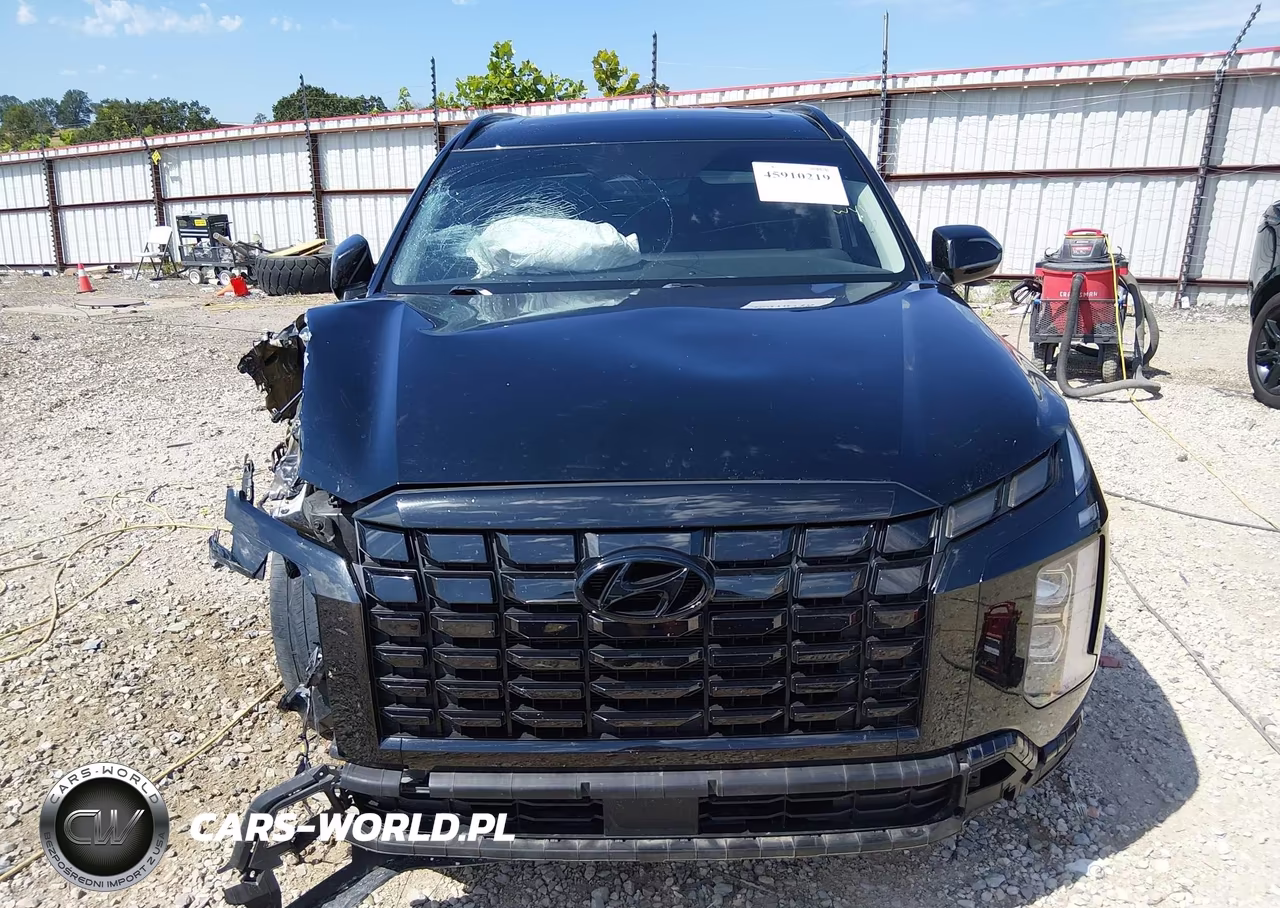 2023 Hyundai Palisade Xrt VIN:KM8R34GE1PU551639 - 12