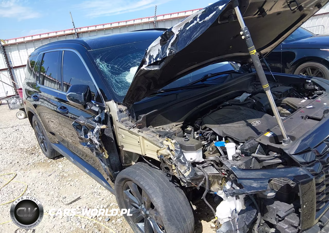 2023 Hyundai Palisade Xrt VIN:KM8R34GE1PU551639 - 6