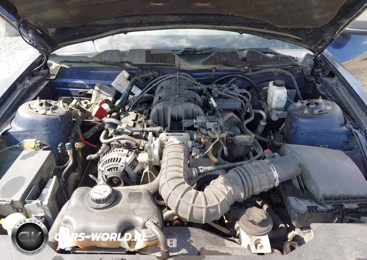 2010 Ford Mustang V6-V6 Premium VIN:1ZVBP8AN6A5107990 - 10