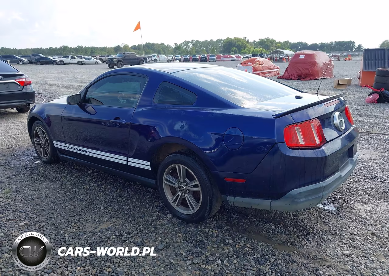 2010 Ford Mustang V6-V6 Premium VIN:1ZVBP8AN6A5107990 - 3