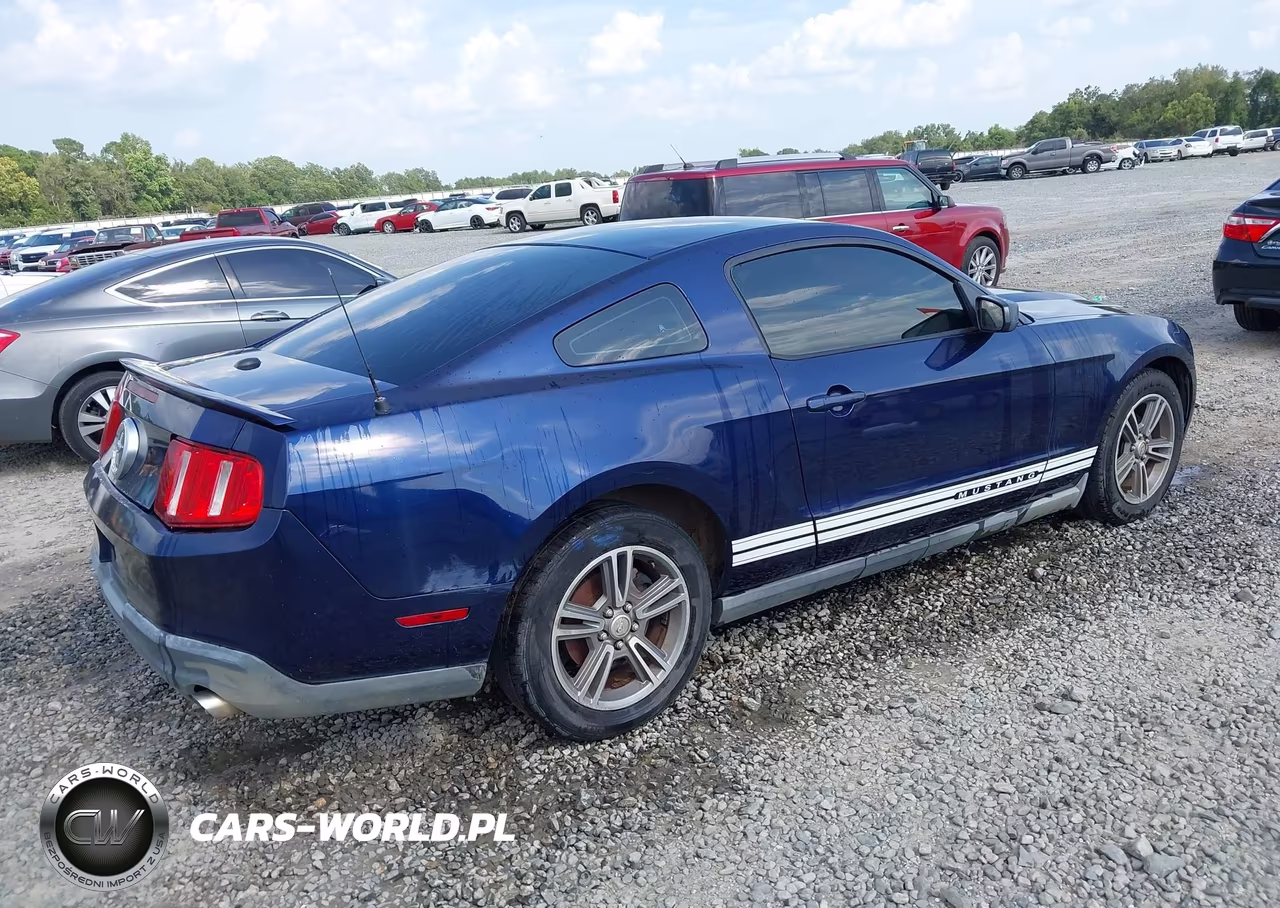 2010 Ford Mustang V6-V6 Premium VIN:1ZVBP8AN6A5107990 - 4