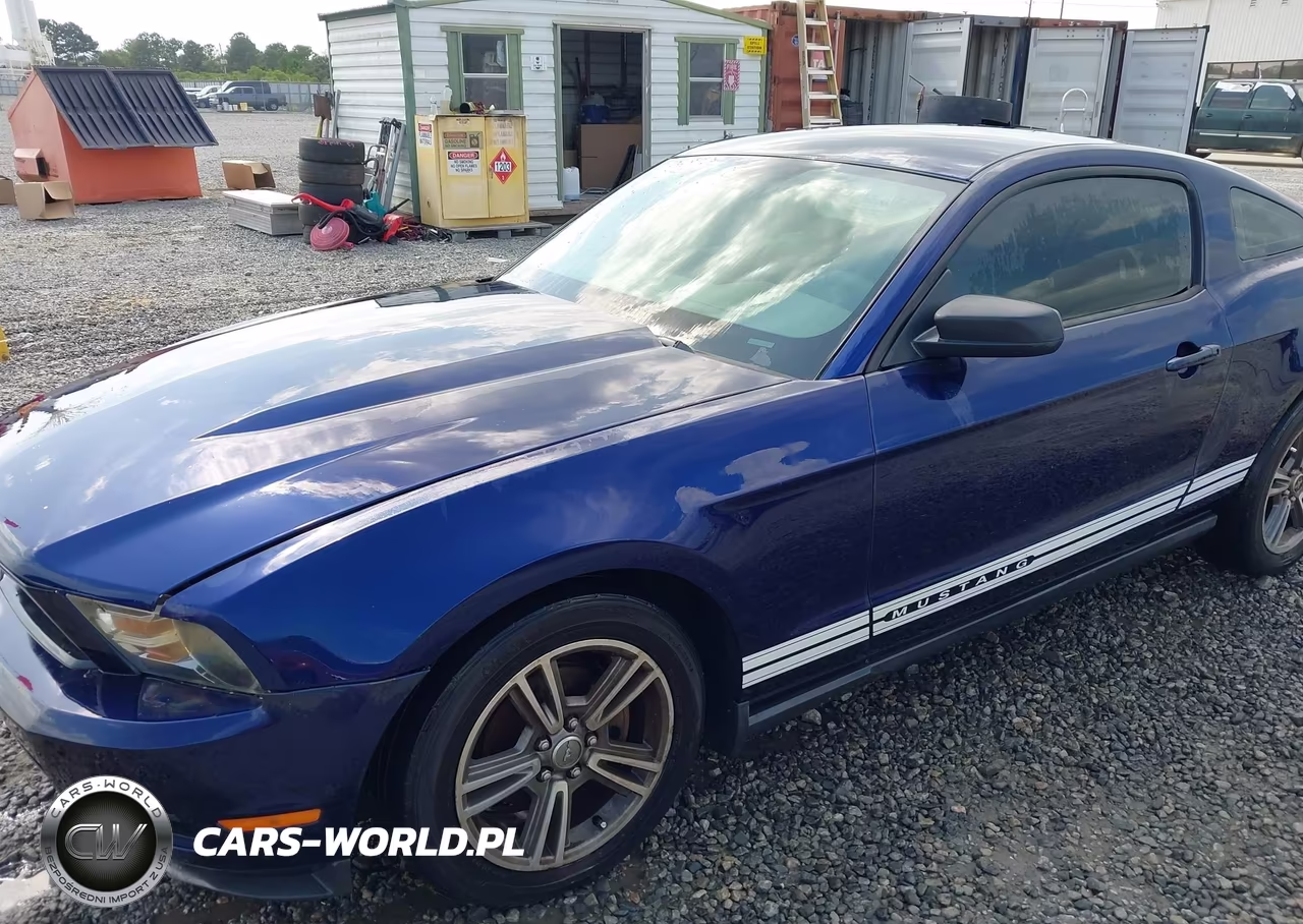2010 Ford Mustang V6-V6 Premium VIN:1ZVBP8AN6A5107990 - 6