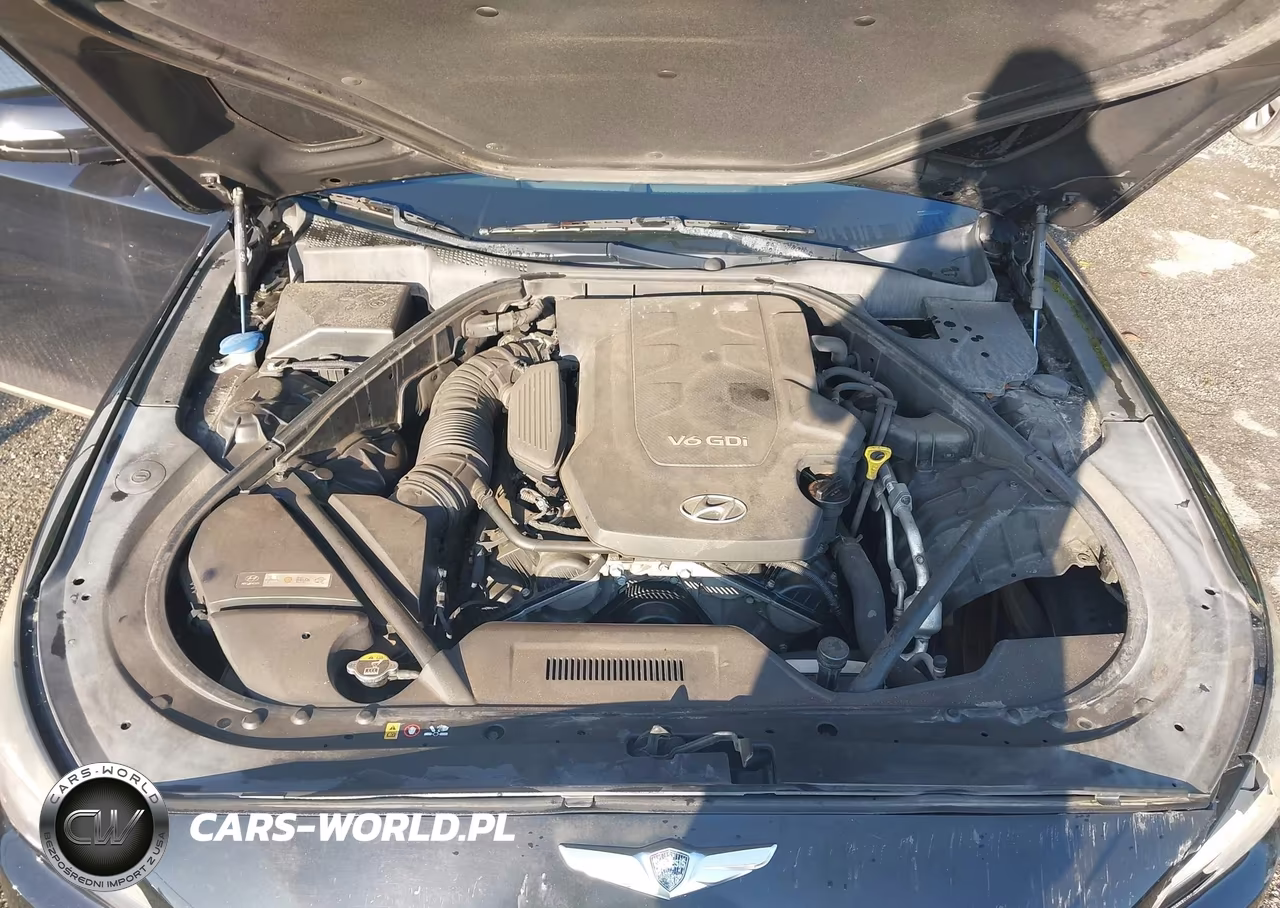 2015 Hyundai Genesis 3.8 VIN:KMHGN4JE5FU065585 - 10