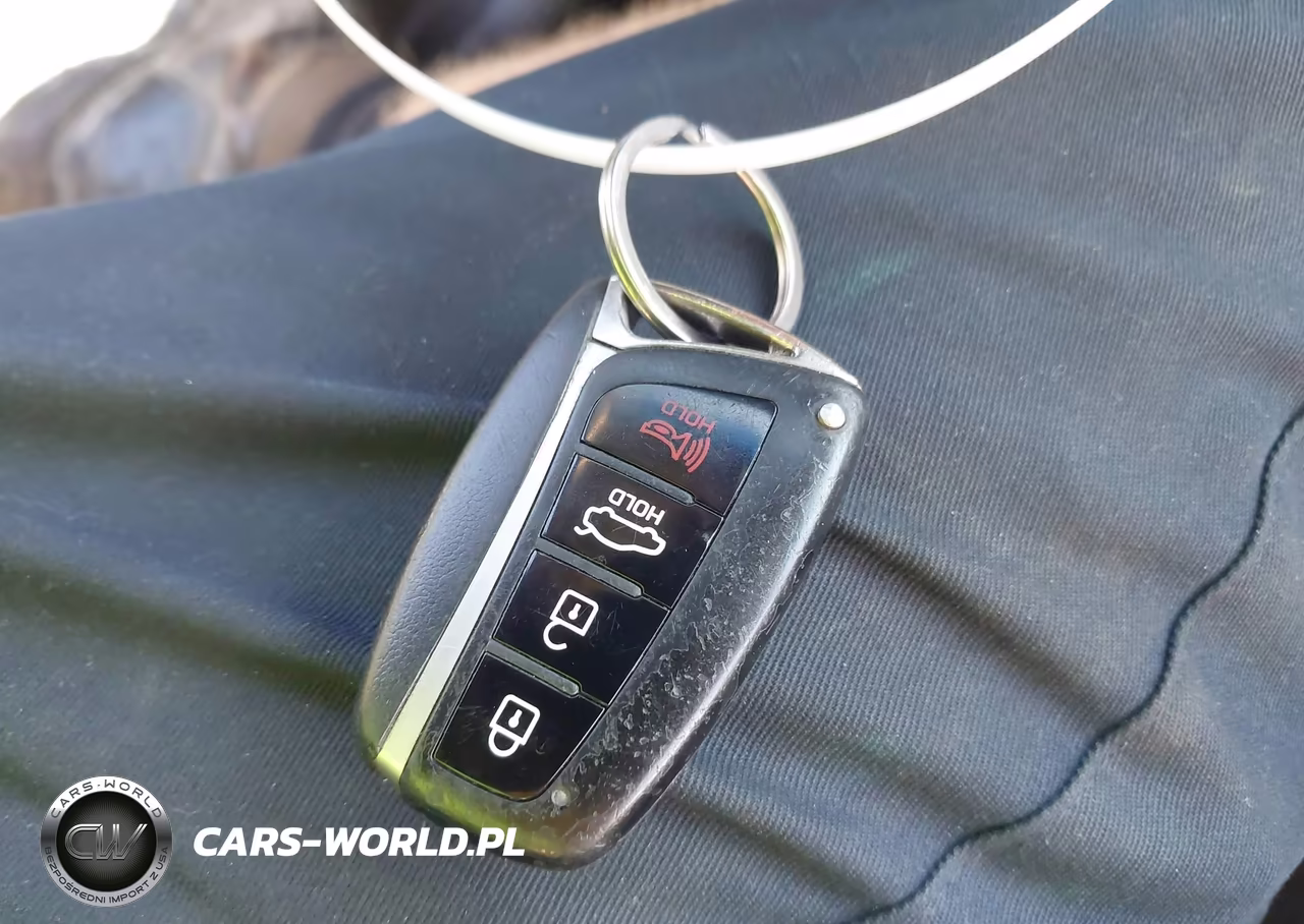 2015 Hyundai Genesis 3.8 VIN:KMHGN4JE5FU065585 - 11