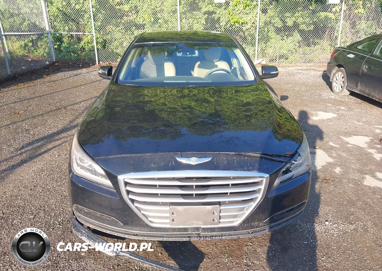 2015 Hyundai Genesis 3.8 VIN:KMHGN4JE5FU065585 - 12