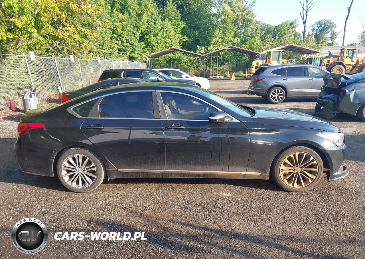 2015 Hyundai Genesis 3.8 VIN:KMHGN4JE5FU065585 - 13