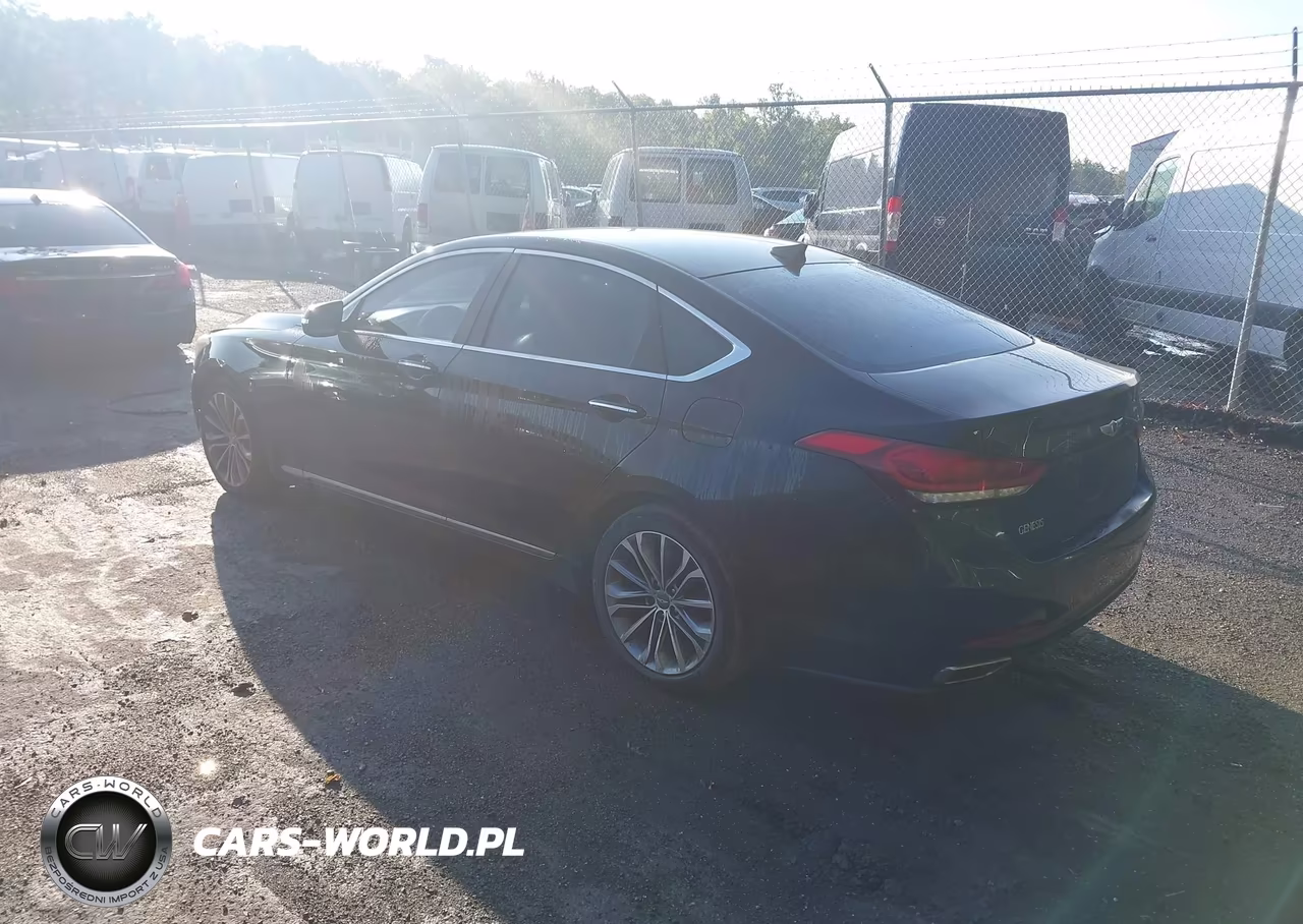 2015 Hyundai Genesis 3.8 VIN:KMHGN4JE5FU065585 - 3