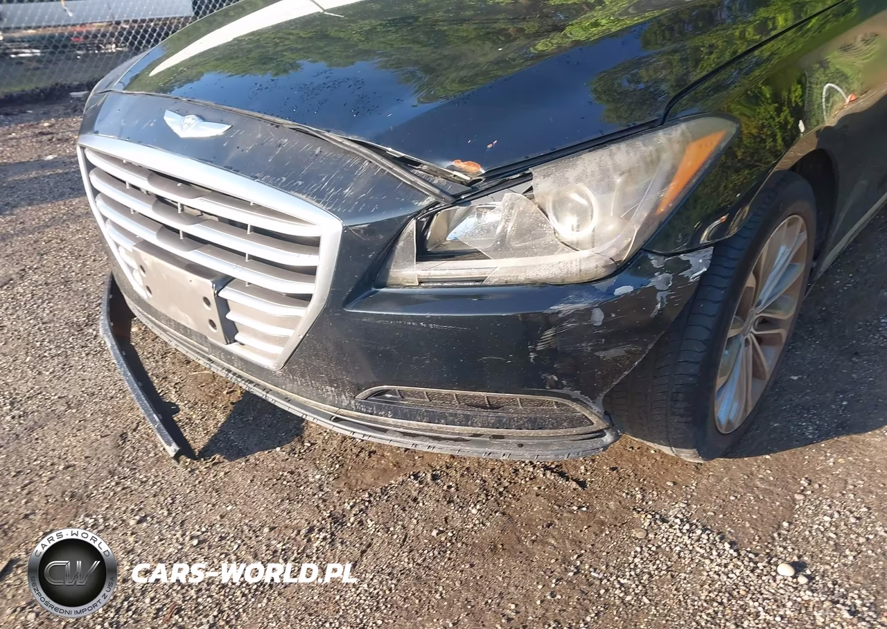 2015 Hyundai Genesis 3.8 VIN:KMHGN4JE5FU065585 - 6