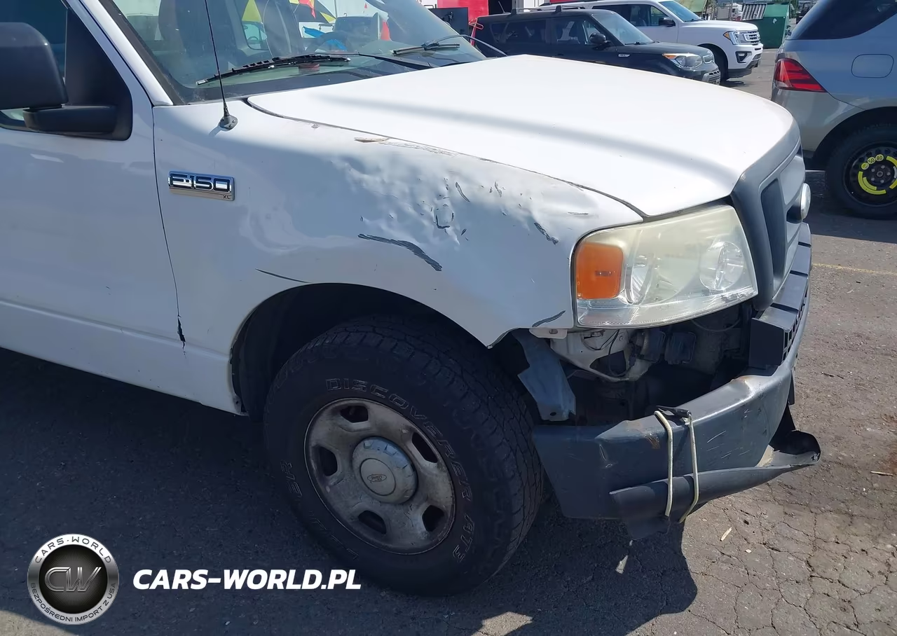 2006 Ford F-150 Stx-Xl-Xlt VIN:1FTRF12246KD28643 - 12
