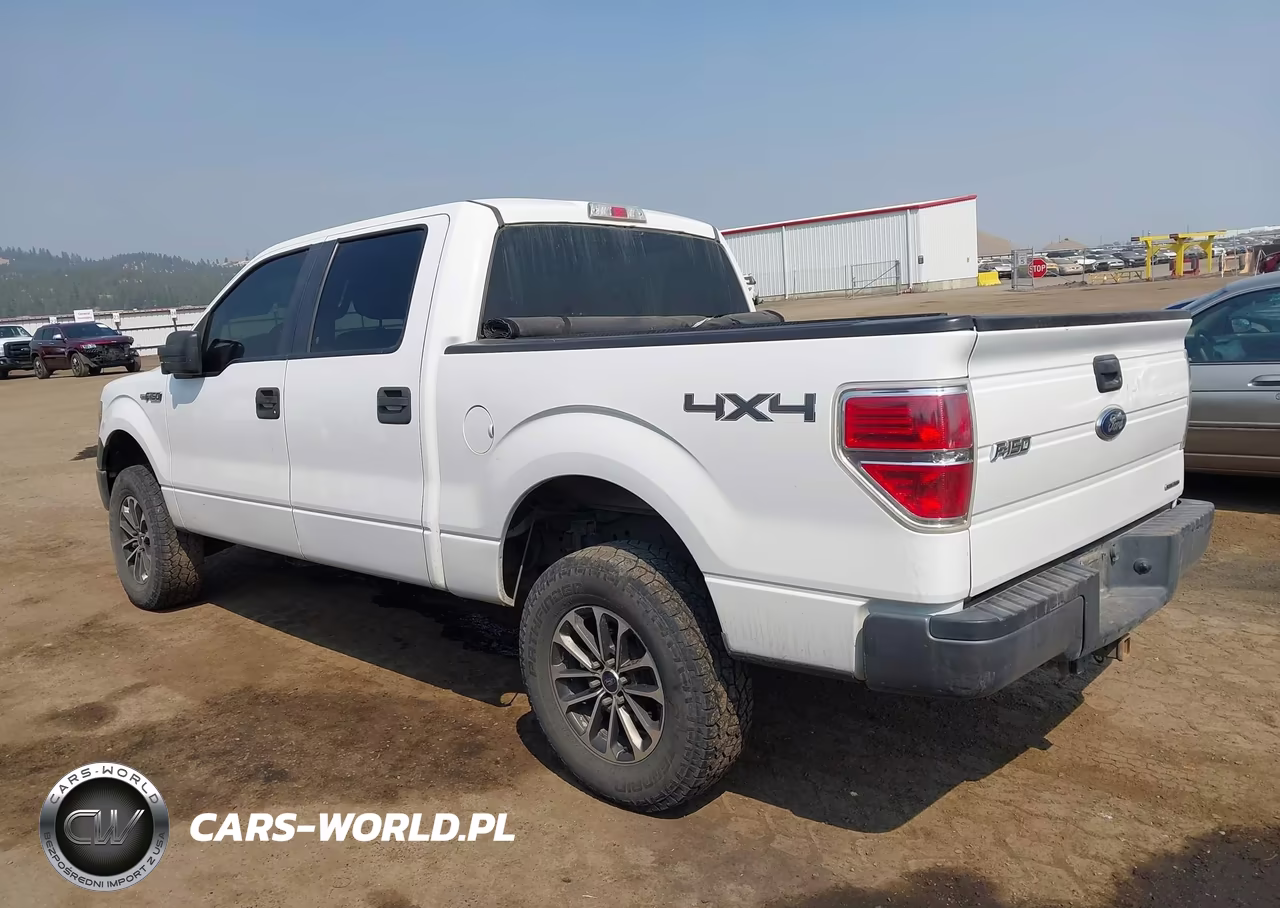 2013 Ford F-150 Xl VIN:1FTFW1EF4DKD84094 - 14