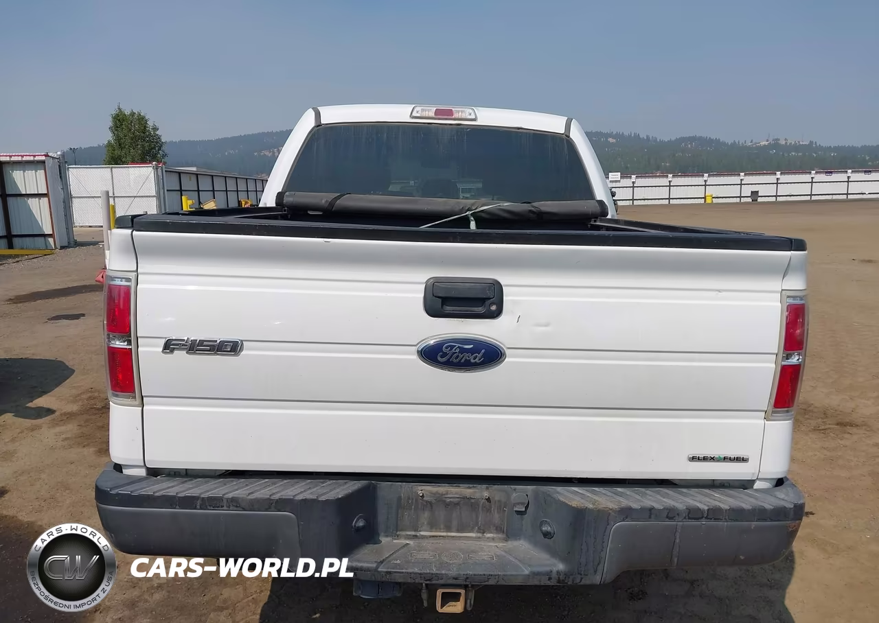 2013 Ford F-150 Xl VIN:1FTFW1EF4DKD84094 - 16