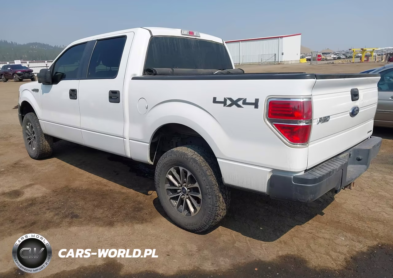2013 Ford F-150 Xl VIN:1FTFW1EF4DKD84094 - 3