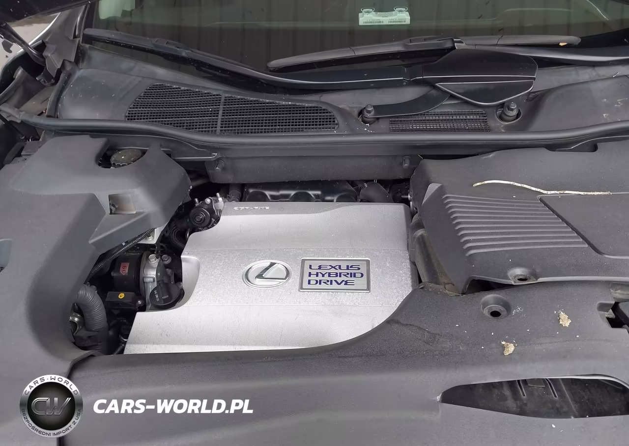 2013 Lexus Rx 450H VIN:JTJZB1BA5D2008826 - 10