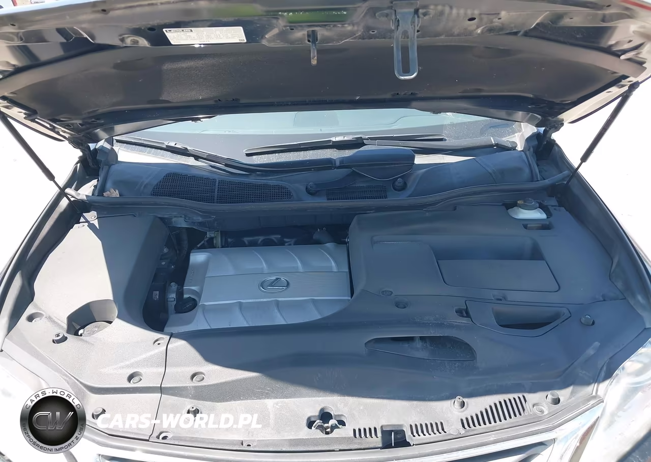 2013 Lexus Rx 350 VIN:JTJBK1BA3D2456404 - 10