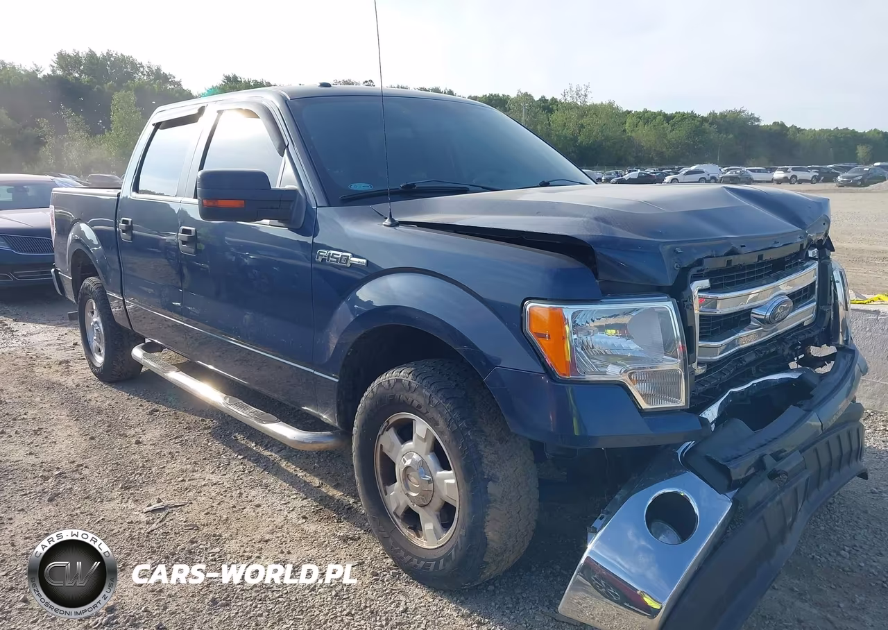 2013 Ford F-150 Xlt – zdjęcie 1 z 17