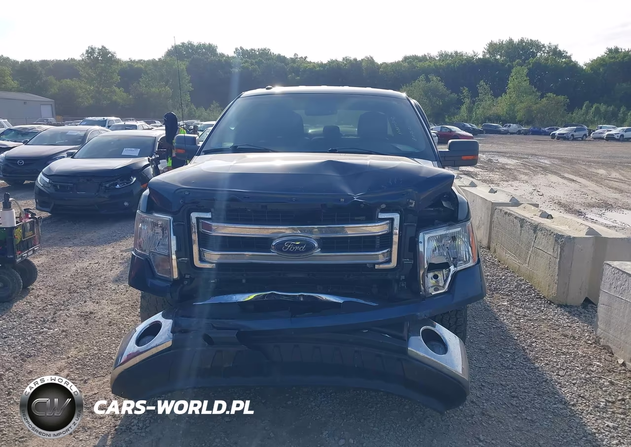 2013 Ford F-150 Xlt VIN:1FTEW1CM5DKF37904 - 13
