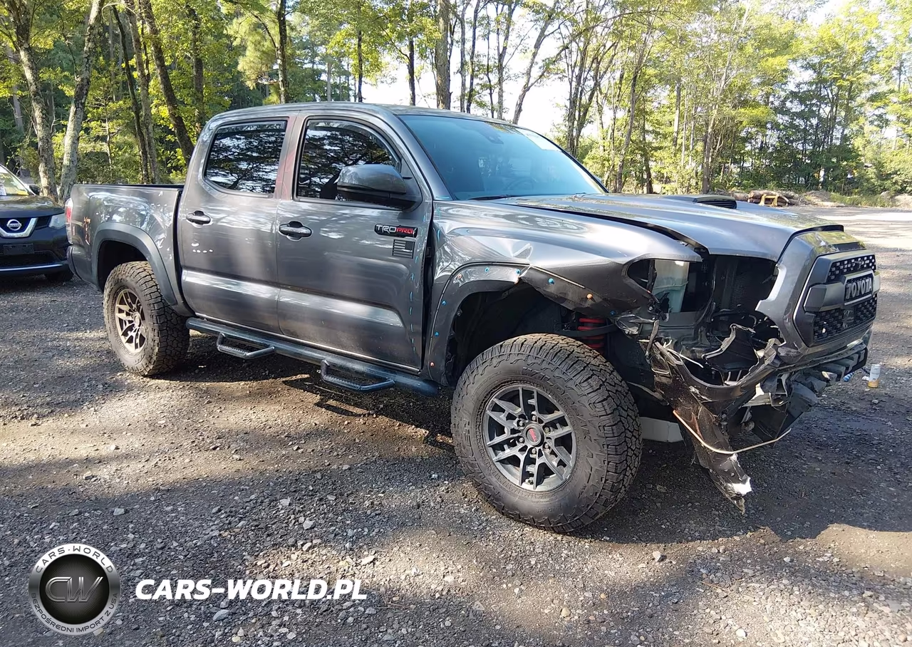 2020 Toyota Tacoma Trd Pro VIN:5TFCZ5AN5LX239517 - 1
