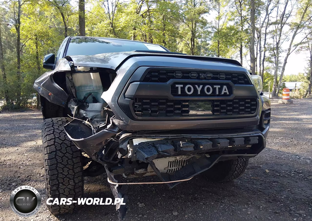 2020 Toyota Tacoma Trd Pro VIN:5TFCZ5AN5LX239517 - 6