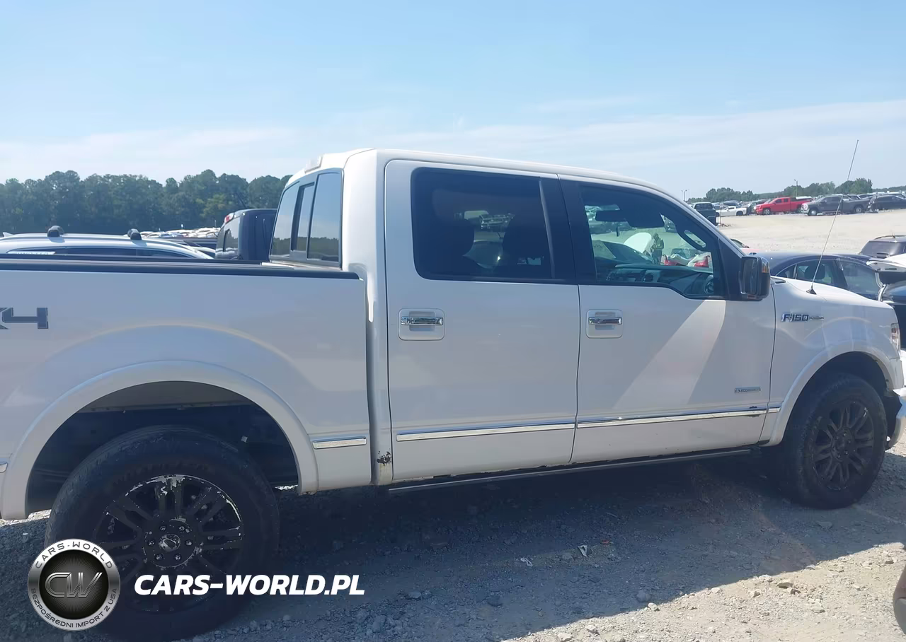 2014 Ford F-150 Platinum VIN:1FTFW1ET0EFB09936 - 13
