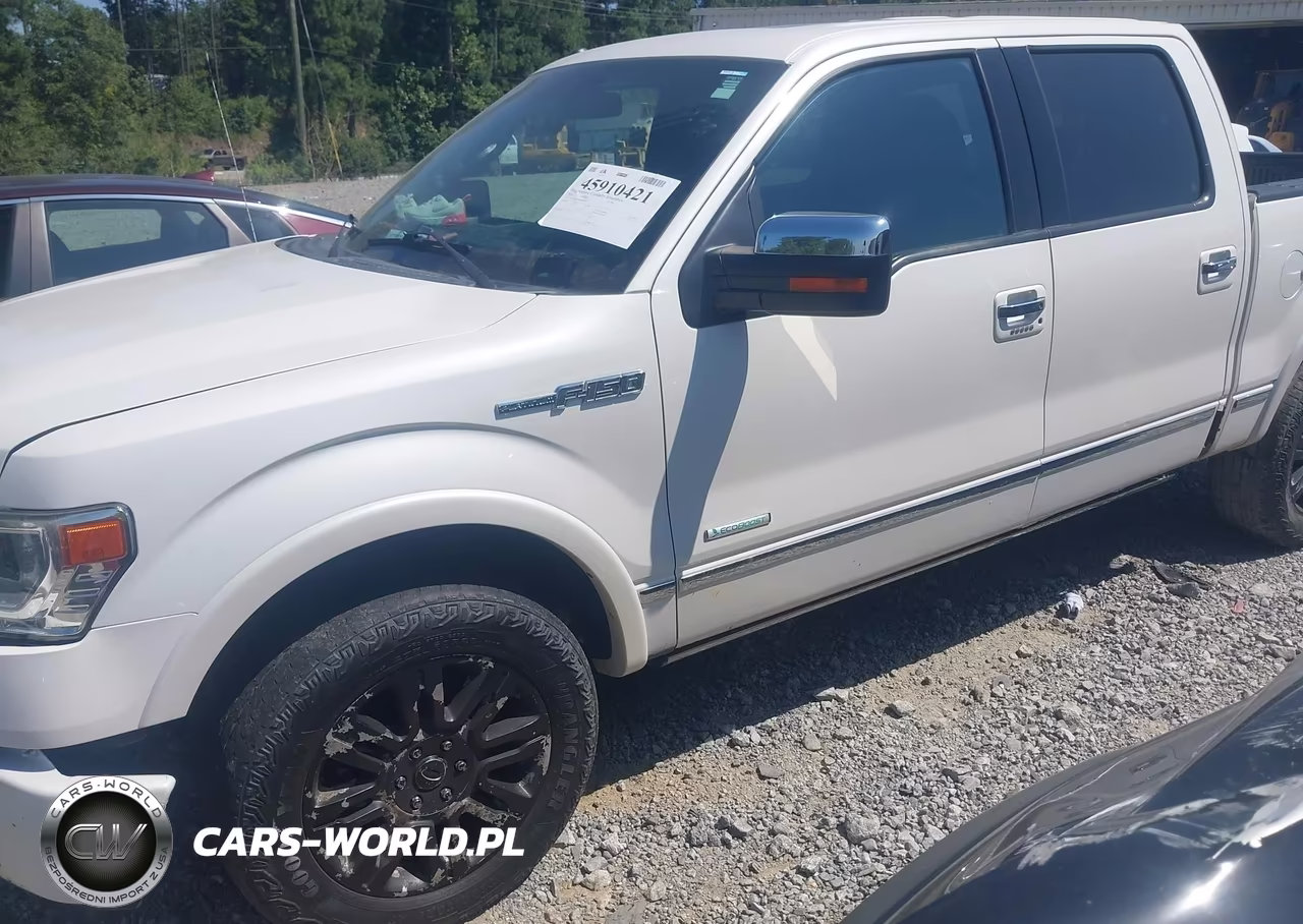 2014 Ford F-150 Platinum VIN:1FTFW1ET0EFB09936 - 14