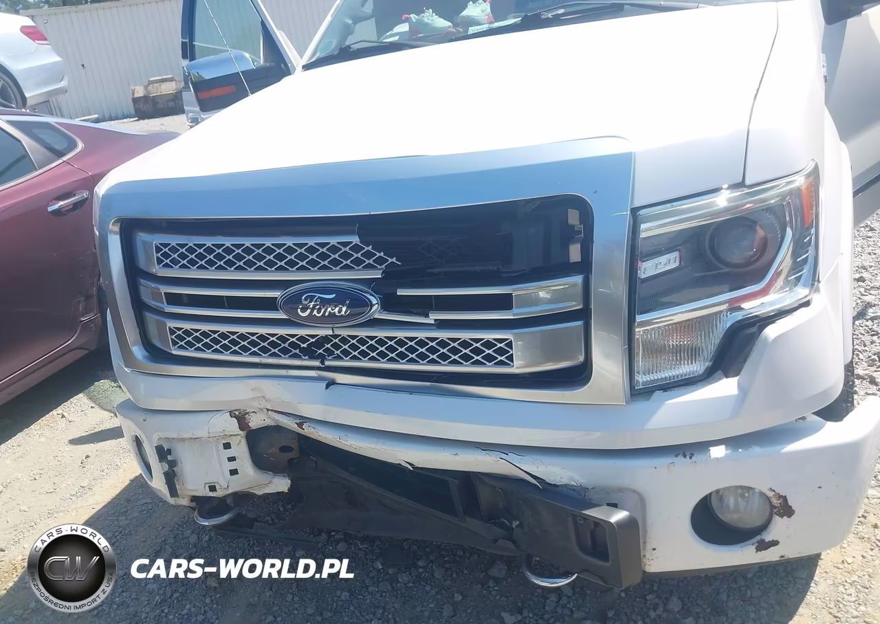 2014 Ford F-150 Platinum VIN:1FTFW1ET0EFB09936 - 6