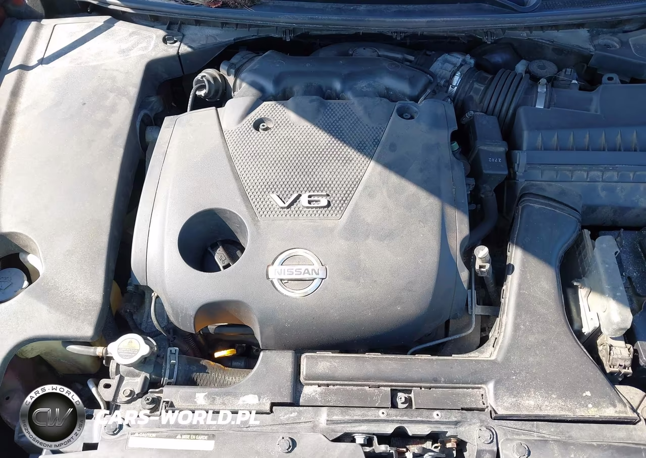 2013 Nissan Maxima 3.5 Sv VIN:1N4AA5AP5DC816111 - 10