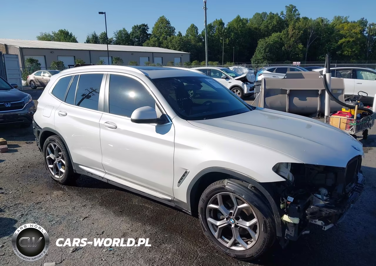 2023 BMW X3 xDrive30I VIN:5UX53DP06P9R83815 - 1