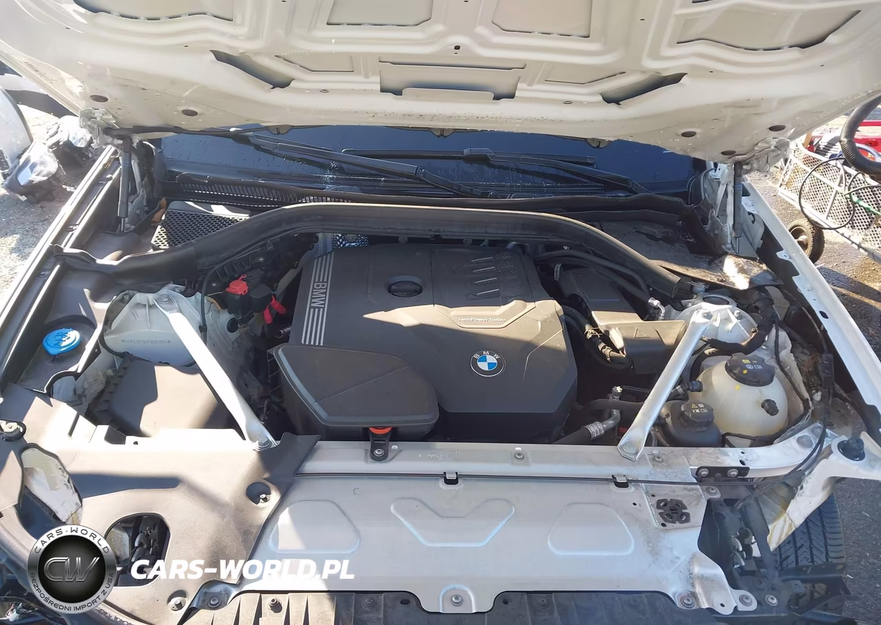 2023 BMW X3 xDrive30I VIN:5UX53DP06P9R83815 - 10